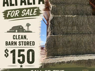 3x3 Premium Alfalfa Bales