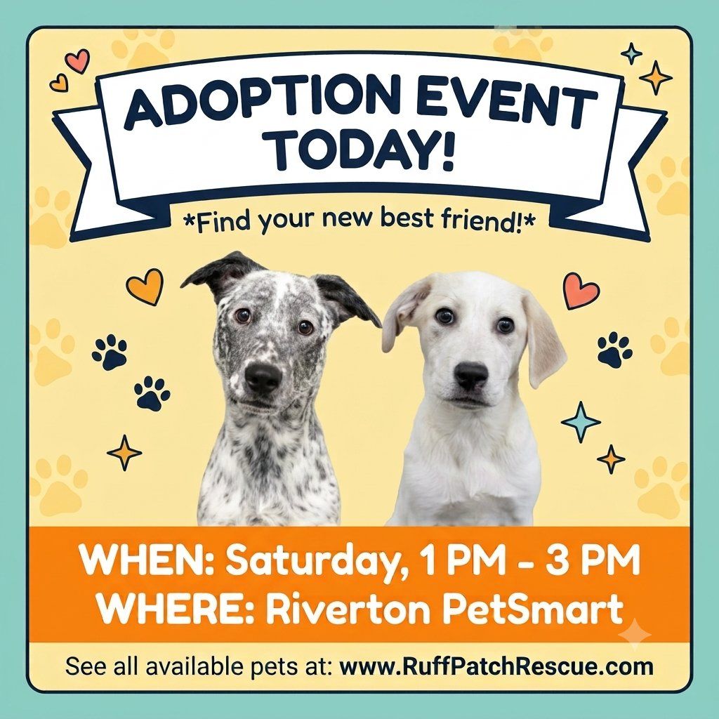 Dog Adoption Event - Find Your New Best Friend! Saturday 1 PM - 3 PM at Riverton PetSmart!