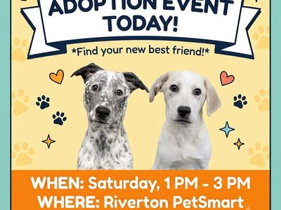 Dog Adoption Event - Find Your New Best Friend! Saturday 1 PM - 3 PM at Riverton PetSmart!
