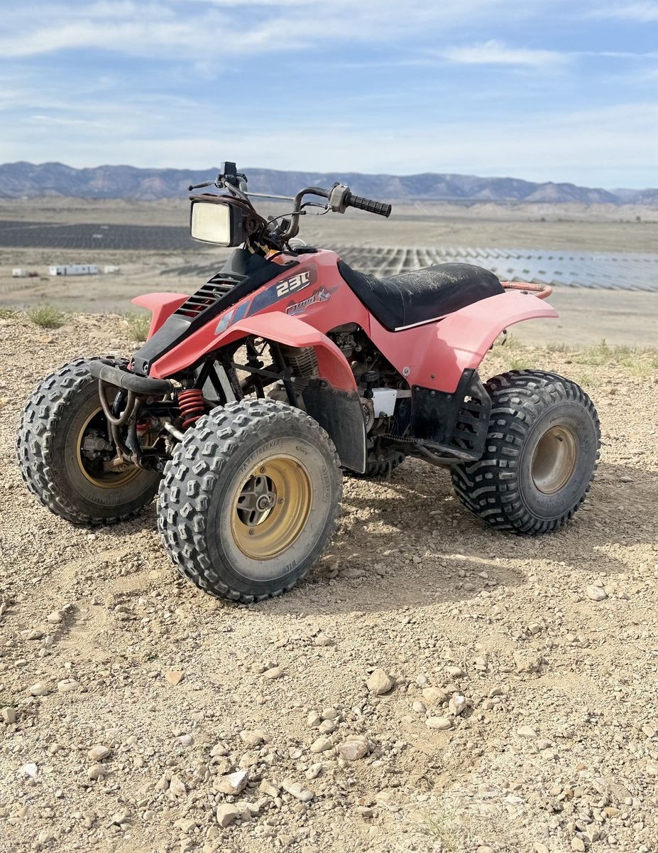 1991 Suzuki 230 Quadrunner