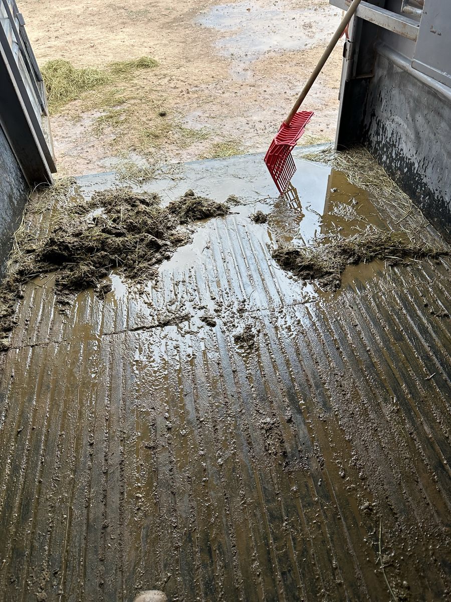 Horse trailer cleaning