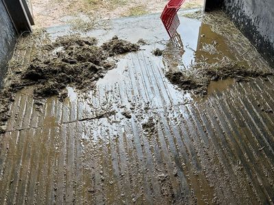 Horse trailer cleaning