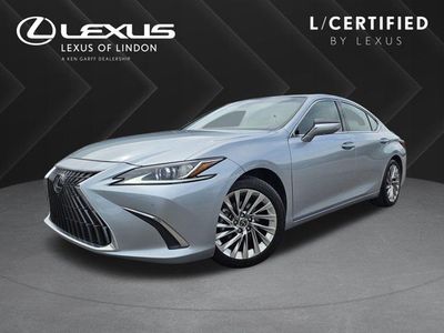 2023 Lexus ES Luxury