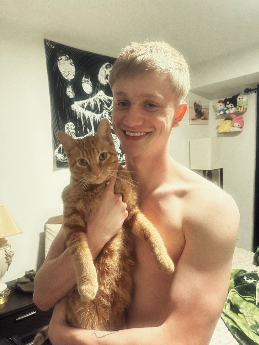 Free Orange Kitten