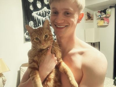 Free Orange Kitten