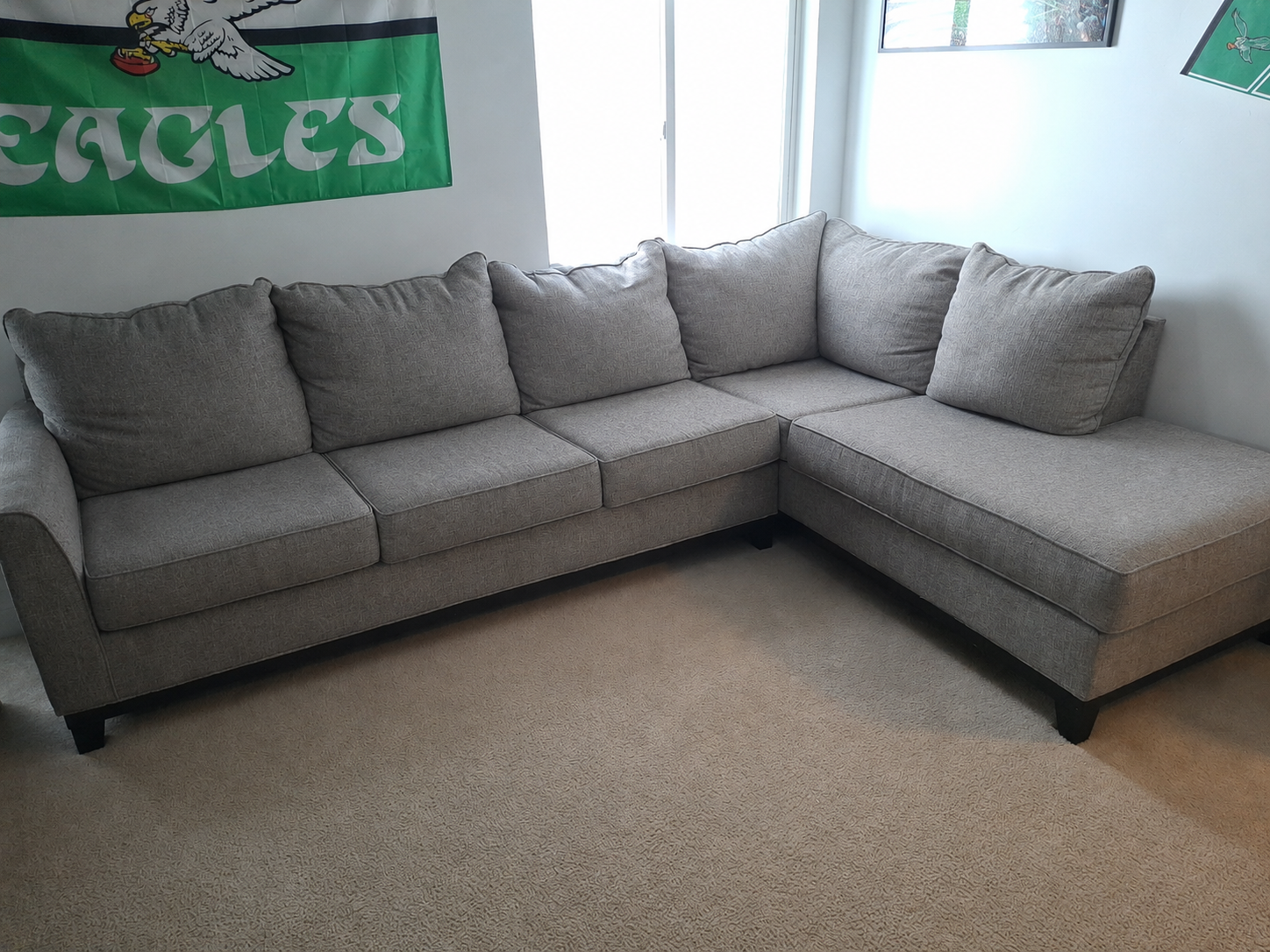 L-Shaped Couch