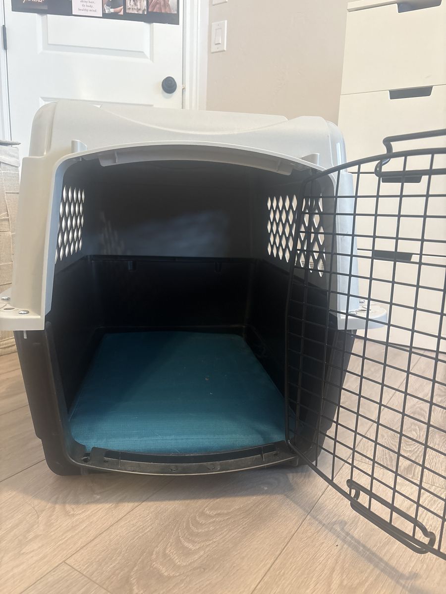 Pet Carrier for Small to Medium Dogs and Cats, Plastic Kennel Crate with Metal Door