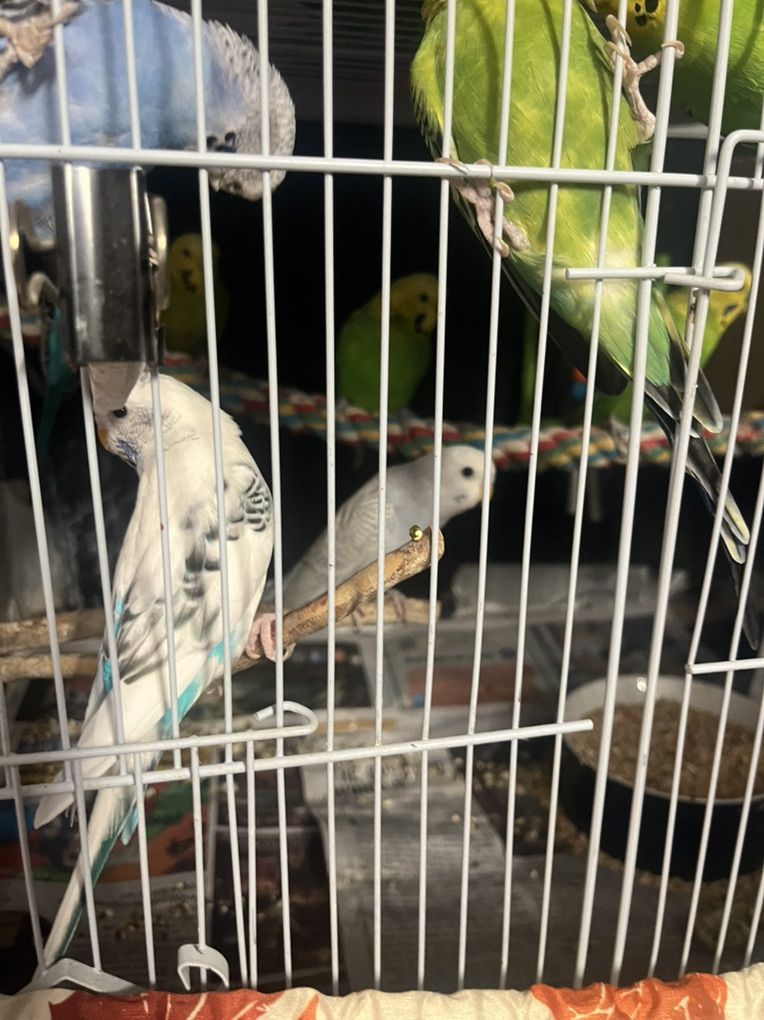 Main image 2