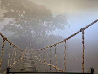 Wall Art LARGE 79” x 55” cool bridge