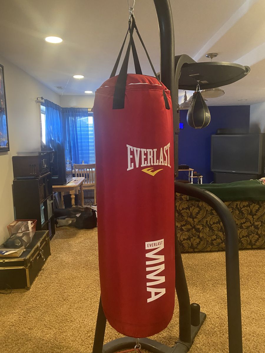 Everlast 70-Pound MMA Poly Canvas Heavy Bag/Speed Bag