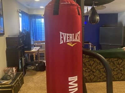 Everlast 70-Pound MMA Poly Canvas Heavy Bag/Speed Bag
