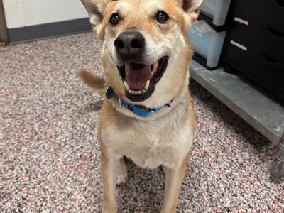 Hello my name is Tess