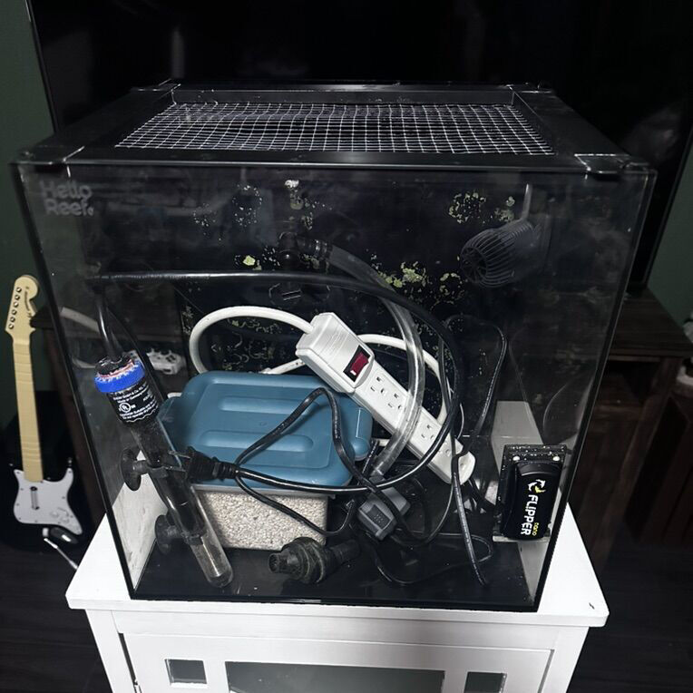 15 Gallon Hello Reef Tank