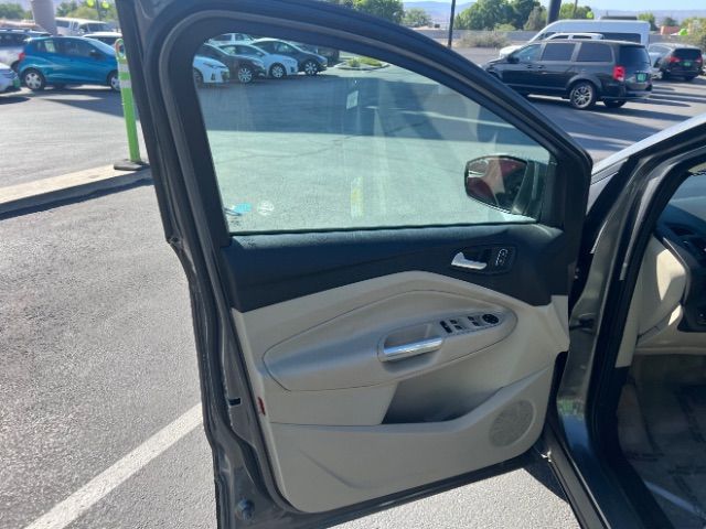 Main image 13