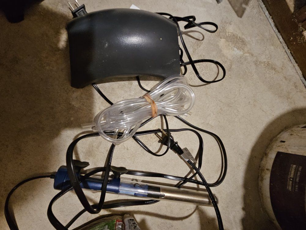 Main image 5