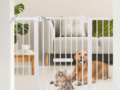 New- Dababa 36" Tall, 29-48" Auto-Close Pet Gate with Cat Door, Wall Cups, White - Latitude Run
