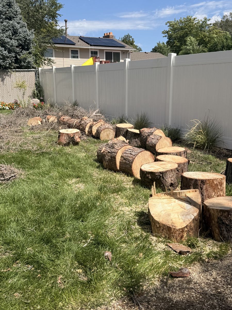 Free wood