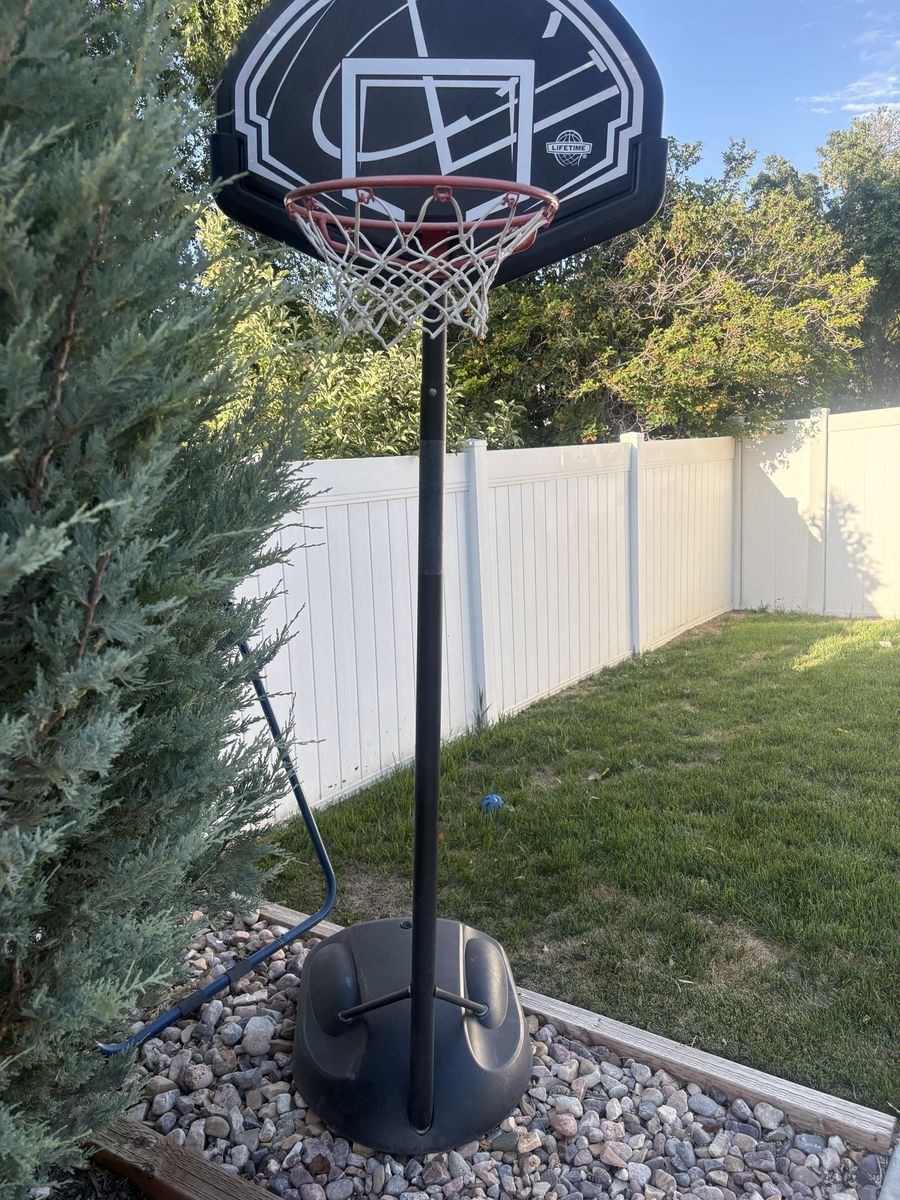 Lifetime little basketball hoop