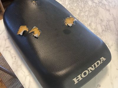 2008 Honda Ruckus Seat