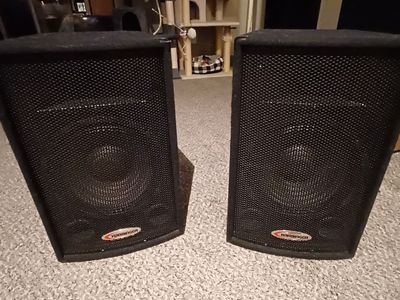 12" dj loudspeakers