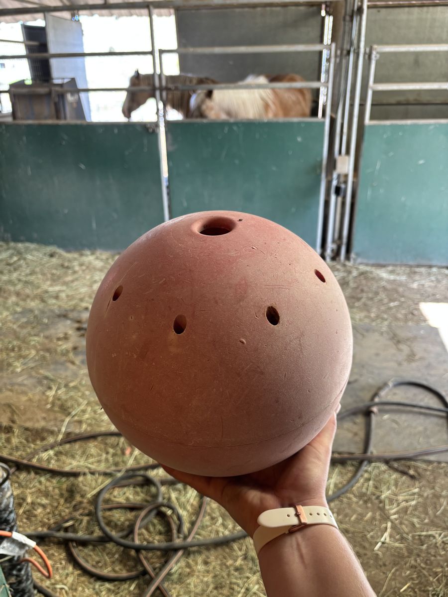Horse ball