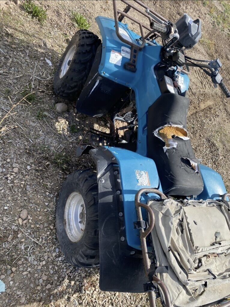 1980-90's Suzuki Ltf250