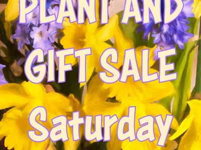 ART, PLANTS and GIFTS,- SATURDAY