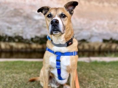 Hello my name is Memo