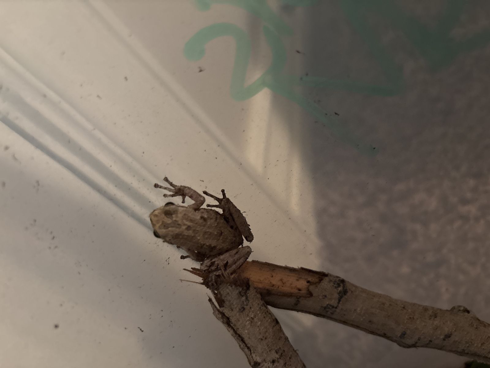 Main image 4
