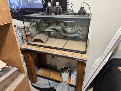 Exo Terra 55 Gallon Reptile Terrarium w/ Accessories - Heat Lamps, Decor, Substrate