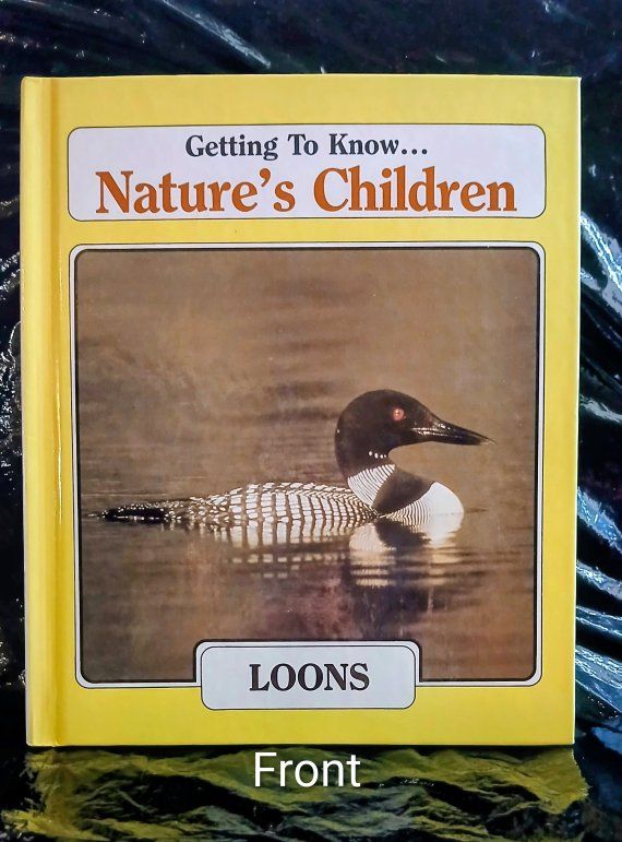 Nature's Children Book: Getting to Know Loons/Black Bears, Illustrated Hardcover, Educational Kids Book