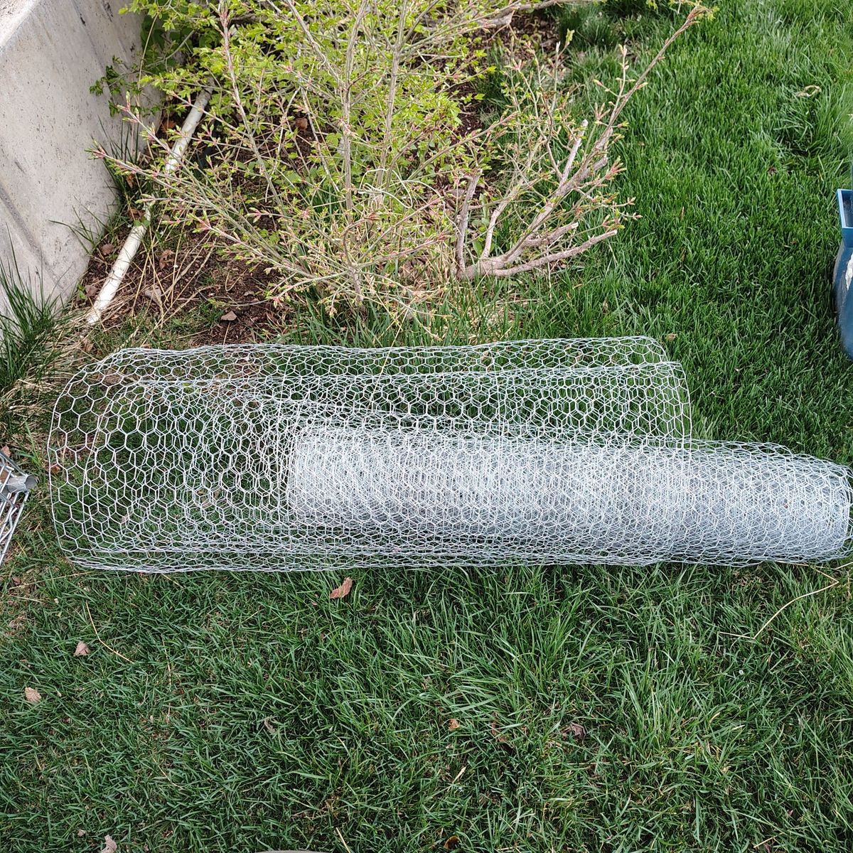 Chicken wire
