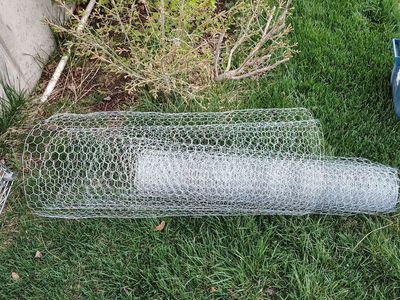 Chicken wire