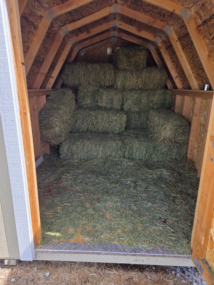 shed for sale