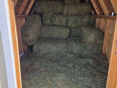 shed for sale
