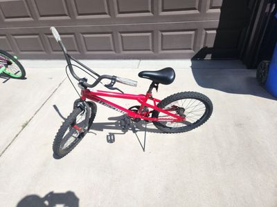 Boys 20" Bicycle