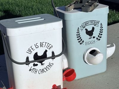Chicken Feeder and Waterer