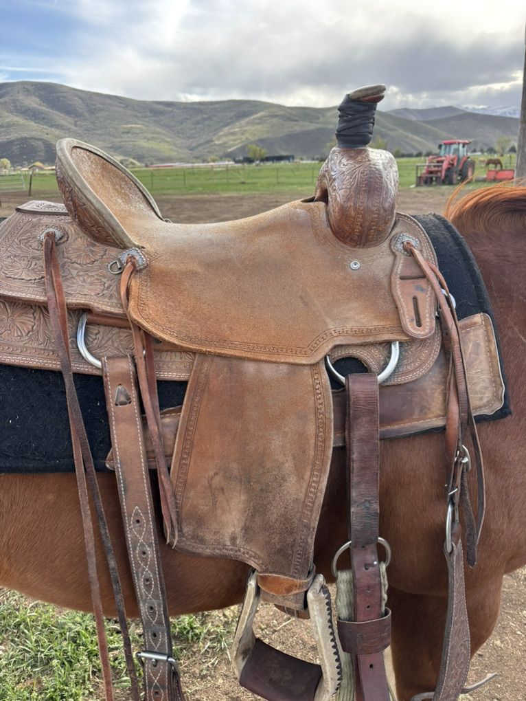 16 Inch Corriente Saddle