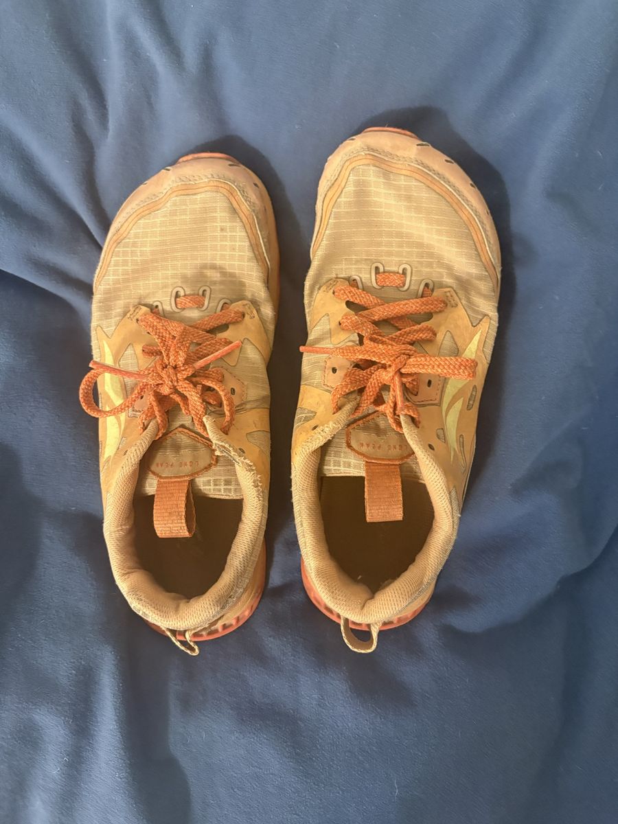 Altra Lone Peak Hiking Shoes