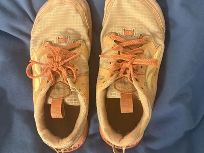 Altra Lone Peak Hiking Shoes