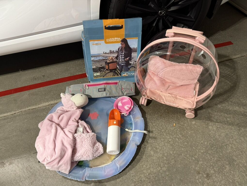 Vetreska Bubble Pet Carrier Pink, Mat, Basket