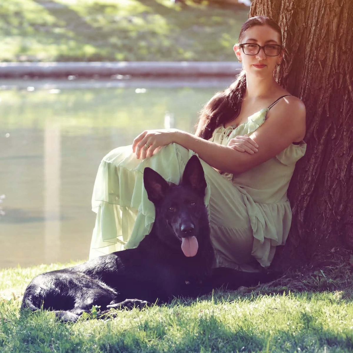 German Shepherd 