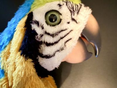 FurReal Squawkers McCaw – Animatronic Parrot