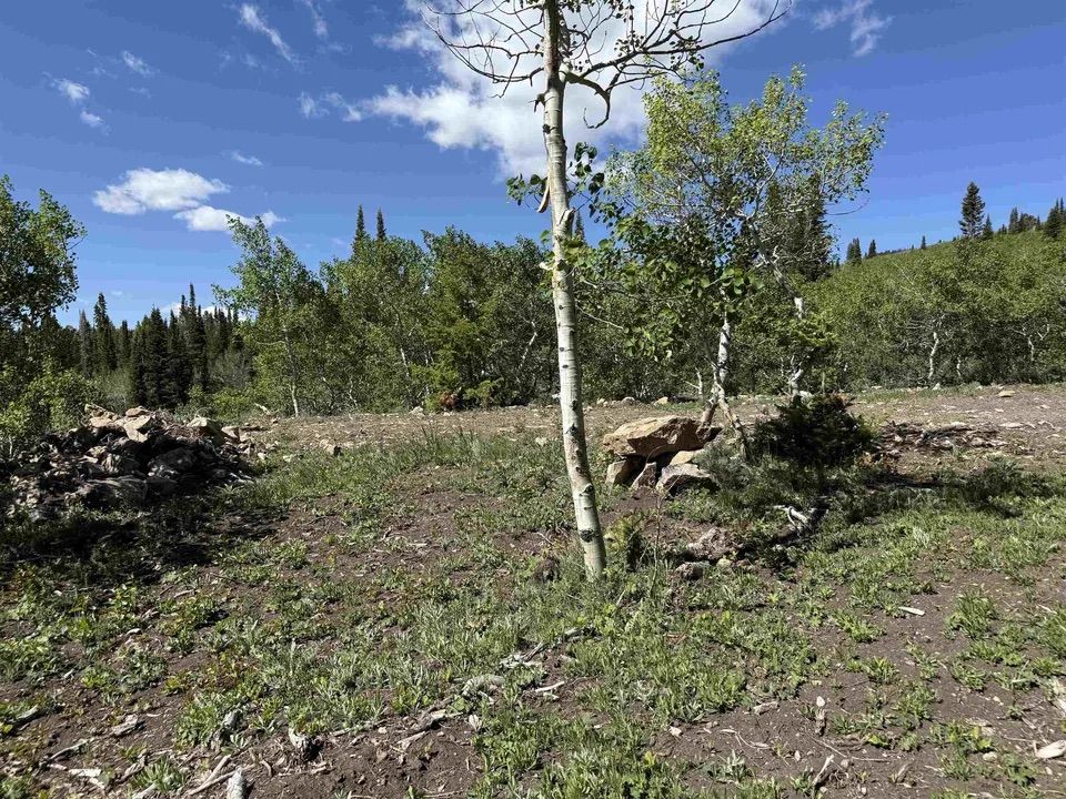 Main image 12
