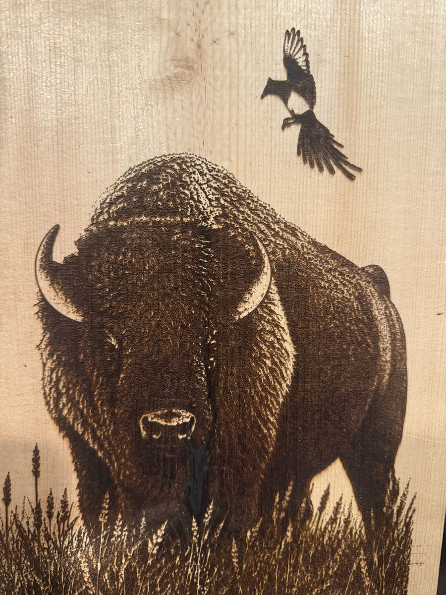 Buffalo pyrography art