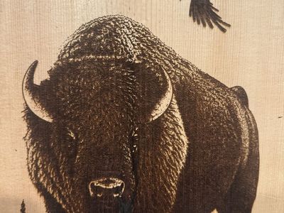 Buffalo pyrography art