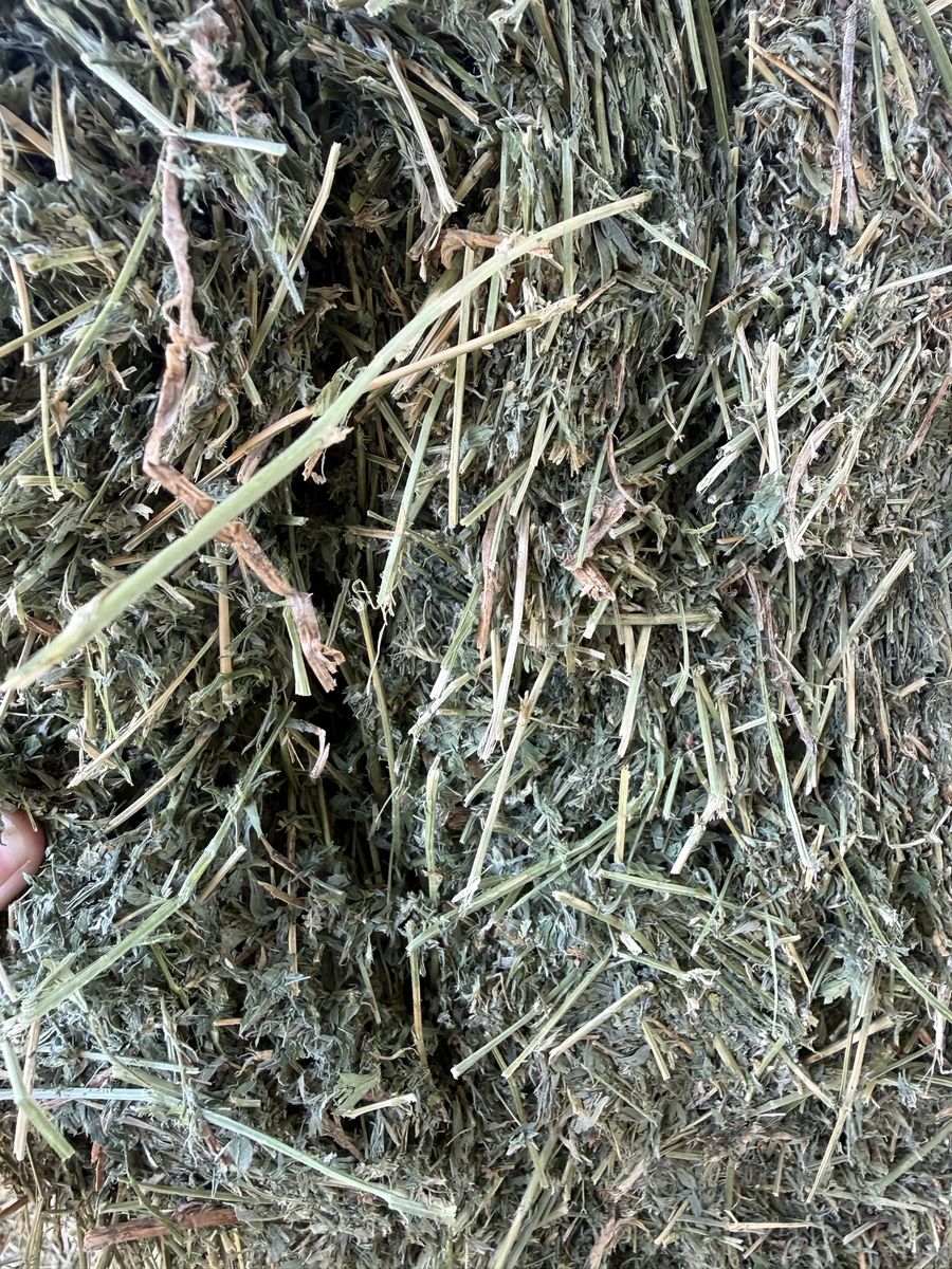2nd crop 3x4 Bales