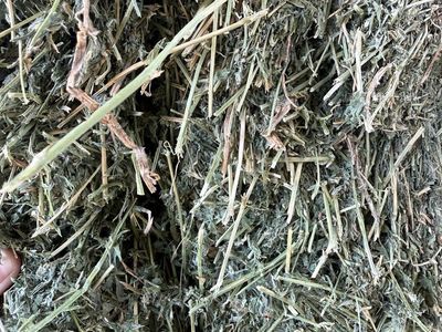 2nd crop 3x4 Bales