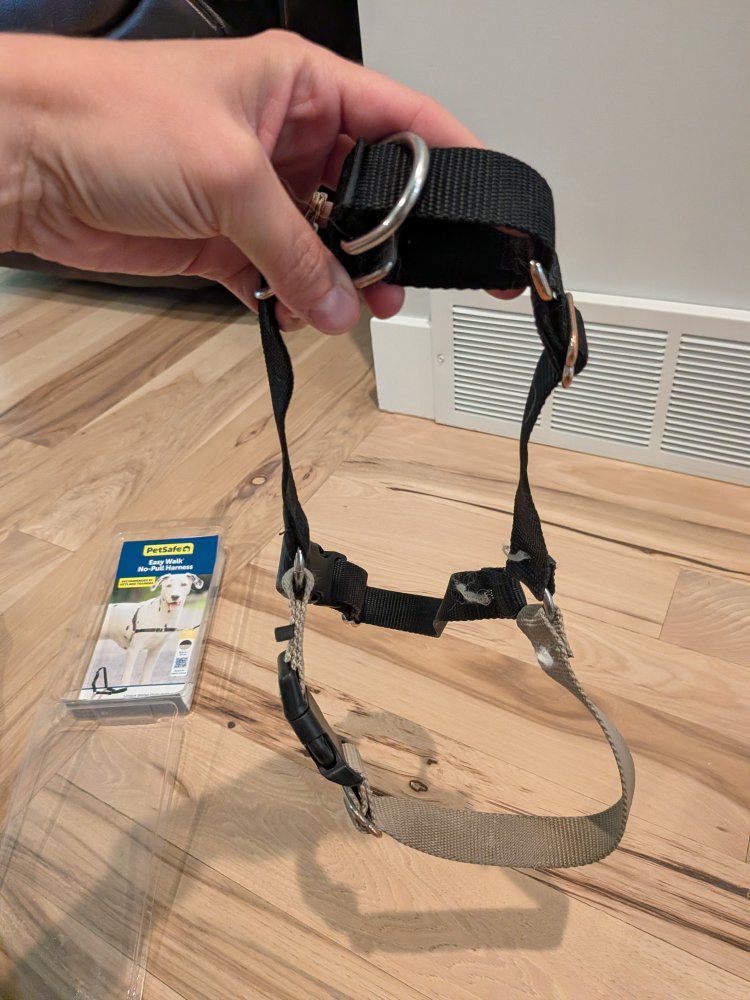 Easy Walk Harness: Medium/Large