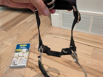 Easy Walk Harness: Medium/Large